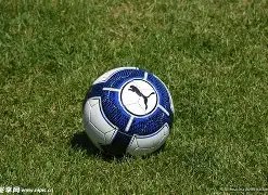 财神捕鱼游,资讯,JDB财神捕鱼游戏,JDB财神捕鱼官网,JDB财神捕鱼官网登录,JDB财神捕鱼官方网站,JDB财神捕鱼游戏