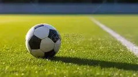 世俱杯预热：皇马对决多特