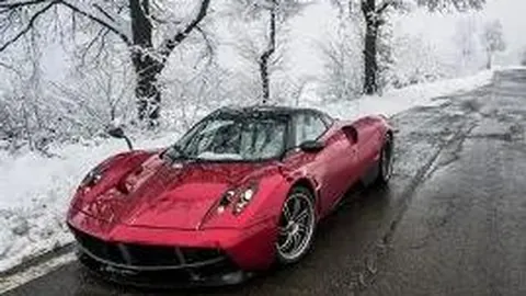 第二十五届信鸽国赛（河北站）与第二十三届廊坊国际名鸽展在廊坊盛大启幕